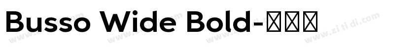 Busso Wide Bold字体转换